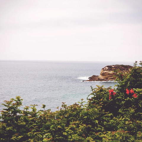 License